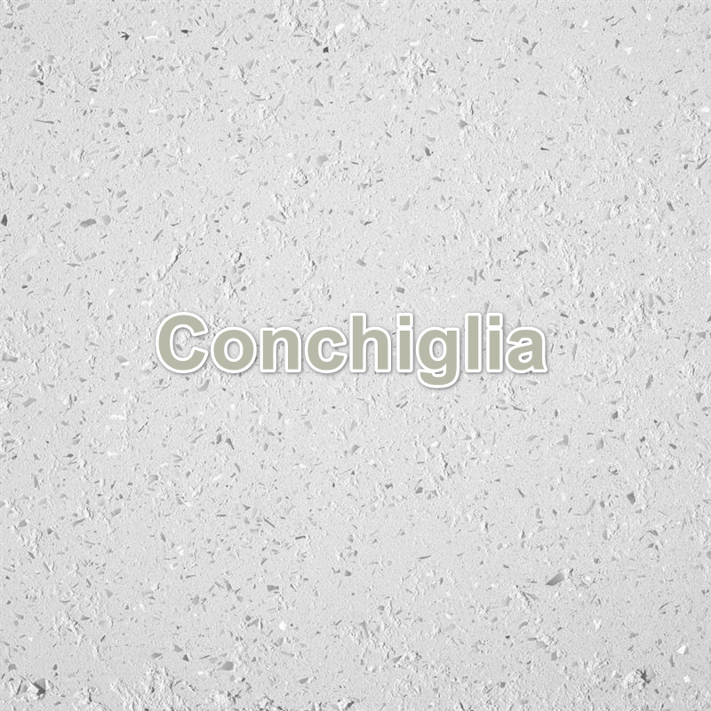 N745_conchiglia_1_transparent_test